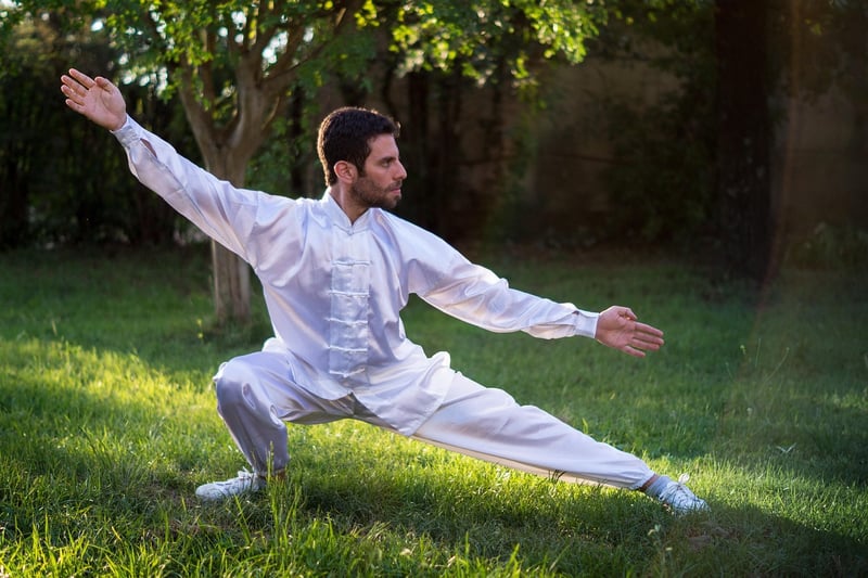 Tai Chi Fan Image